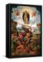 The Archangel Michael and the Devil-Giovanni Dosso Dossi-Framed Stretched Canvas