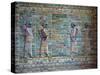 The Archers Frieze from Darius I Palace at Susa, C. 510-C. 500 Bc-null-Stretched Canvas