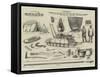 The Arctic Expedition, Apparatus to Be Used by the Explorers-null-Framed Stretched Canvas