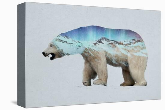 The Arctic Polar Bear-Davies Babies-Stretched Canvas