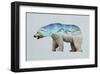 The Arctic Polar Bear-Davies Babies-Framed Premium Giclee Print