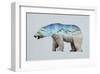 The Arctic Polar Bear-Davies Babies-Framed Premium Giclee Print