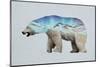 The Arctic Polar Bear-Davies Babies-Mounted Premium Giclee Print
