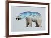 The Arctic Polar Bear-Davies Babies-Framed Art Print