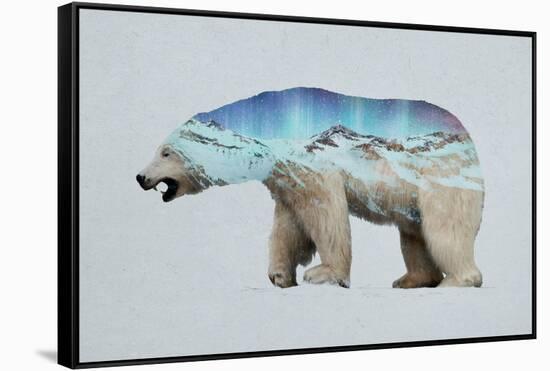 The Arctic Polar Bear-Davies Babies-Framed Stretched Canvas