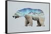 The Arctic Polar Bear-Davies Babies-Framed Stretched Canvas