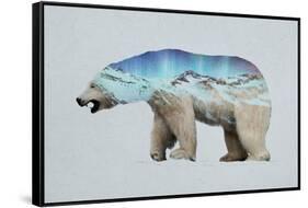 The Arctic Polar Bear-Davies Babies-Framed Stretched Canvas