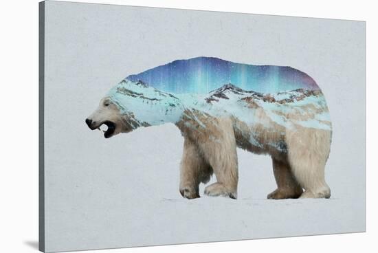 The Arctic Polar Bear-Davies Babies-Stretched Canvas