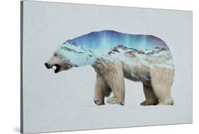 The Arctic Polar Bear-Davies Babies-Stretched Canvas