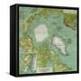 The Arctic Regions-null-Framed Stretched Canvas