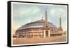 The Arena, St. Louis, Missouri-null-Framed Stretched Canvas