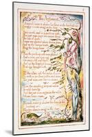 The Argument, Illustration and Text from 'The Marriage of Heaven and Hell', C.1790-3-William Blake-Mounted Giclee Print
