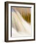 The Arklet Water in Spate, Stirlingshire, Scotland, UK, 2007-Niall Benvie-Framed Photographic Print