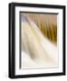 The Arklet Water in Spate, Stirlingshire, Scotland, UK, 2007-Niall Benvie-Framed Photographic Print