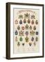 The Arms of All Nations-null-Framed Premium Giclee Print