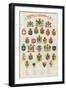 The Arms of All Nations-null-Framed Premium Giclee Print