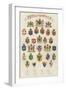 The Arms of All Nations-null-Framed Premium Giclee Print