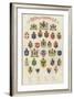 The Arms of All Nations-null-Framed Giclee Print