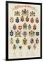 The Arms of All Nations-null-Framed Giclee Print