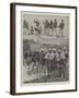 The Army of Madagascar-null-Framed Giclee Print