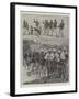 The Army of Madagascar-null-Framed Giclee Print