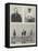 The Arrest of Mr Jabez Spencer Balfour in Argentina-null-Framed Stretched Canvas