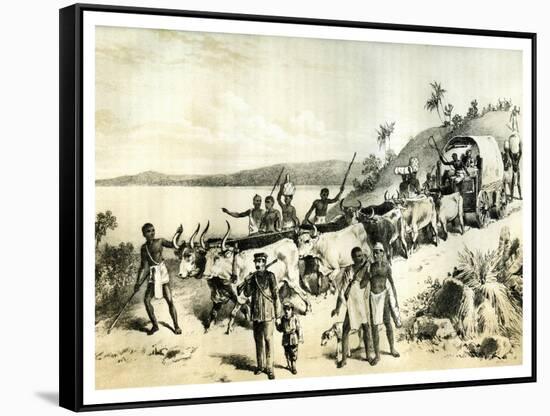 The Arrival at Lake Ngami, 1883-null-Framed Stretched Canvas