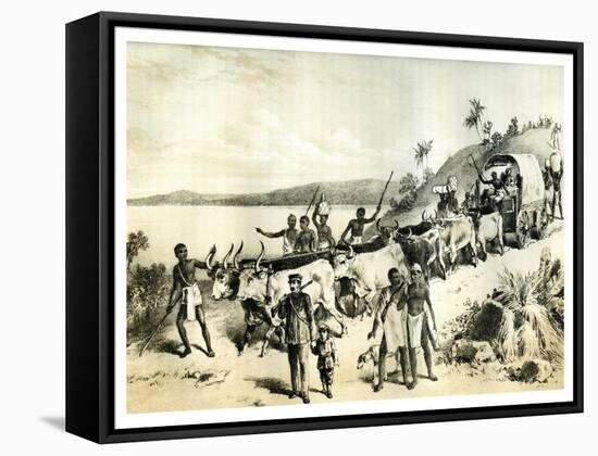 The Arrival at Lake Ngami, 1883-null-Framed Stretched Canvas