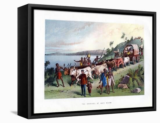 The Arrival at Lake Ngami, 19th Century-null-Framed Stretched Canvas