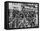 The Arrival of 2447 Italian Immigrants at New York-null-Framed Stretched Canvas