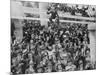 The Arrival of 2447 Italian Immigrants at New York-null-Mounted Photographic Print