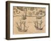 The Arrival of French Ships in Florida, 1602 from American History by Theodore De Bry-null-Framed Giclee Print