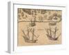 The Arrival of French Ships in Florida, 1602 from American History by Theodore De Bry-null-Framed Giclee Print