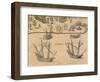 The Arrival of French Ships in Florida, 1602 from American History by Theodore De Bry-null-Framed Giclee Print