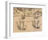 The Arrival of French Ships in Florida, 1602 from American History by Theodore De Bry-null-Framed Giclee Print