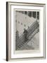 The Arrival of Major-General Baden-Powell at Southampton, 26 July-null-Framed Giclee Print