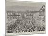 The Arrival of the Shah in Teheran, Persia, after His Tour Through Europe-null-Mounted Giclee Print