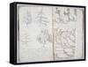 The Art of Sketching', 1801-Archibald Robertson-Framed Stretched Canvas