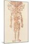 The Arteries of the Human Body-Ebenezer Sibly-Mounted Photographic Print