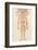 The Arteries of the Human Body-Ebenezer Sibly-Framed Photographic Print