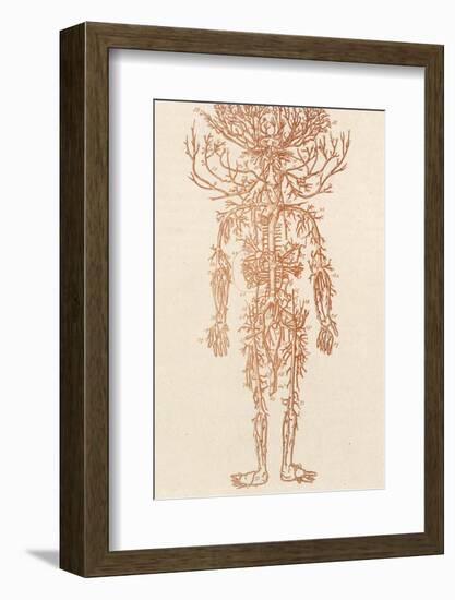 The Arteries of the Human Body-Ebenezer Sibly-Framed Photographic Print