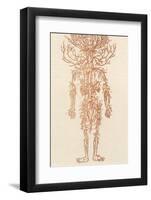 The Arteries of the Human Body-Ebenezer Sibly-Framed Photographic Print