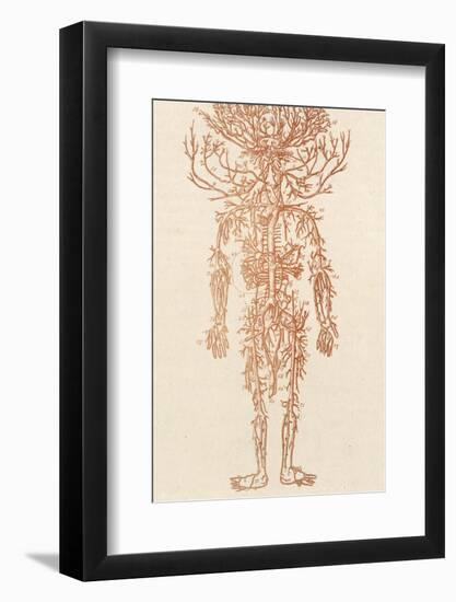 The Arteries of the Human Body-Ebenezer Sibly-Framed Photographic Print