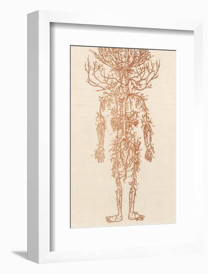 The Arteries of the Human Body-Ebenezer Sibly-Framed Photographic Print