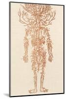 The Arteries of the Human Body-Ebenezer Sibly-Mounted Photographic Print