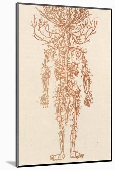 The Arteries of the Human Body-Ebenezer Sibly-Mounted Photographic Print