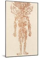 The Arteries of the Human Body-Ebenezer Sibly-Mounted Photographic Print