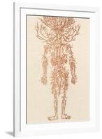 The Arteries of the Human Body-Ebenezer Sibly-Framed Photographic Print