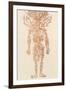 The Arteries of the Human Body-Ebenezer Sibly-Framed Photographic Print