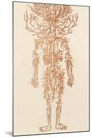 The Arteries of the Human Body-Ebenezer Sibly-Mounted Photographic Print